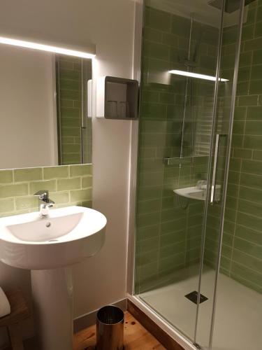 a bathroom with a sink and a shower at Le Relais de l'endormie in Nogent-sur-Seine