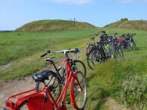 a group of bikes parked on a grassy hill at Gasthaus Knudsen in Utersum