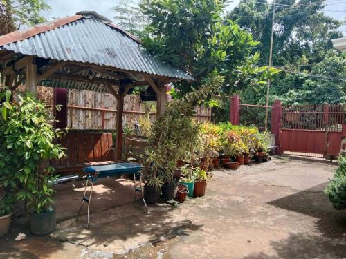 a garden with a wooden gazebo with potted plants at Peace Lily Studio Apartments Panglao in Panglao