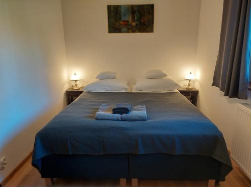 Un pat sau paturi într-o cameră la Watra apartamenty z aneksami