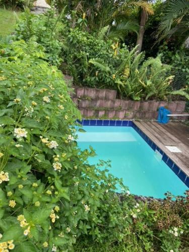 a swimming pool with a bench and some plants at Chalet en bois in Saint-Claude