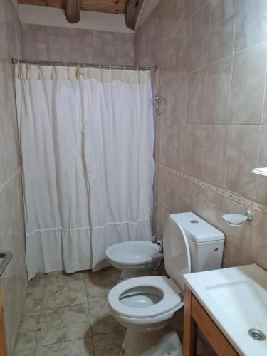 a bathroom with a white toilet and a sink at Colorina - El Nihuil in El Nihuil