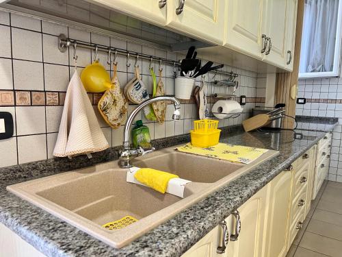 a kitchen sink with a yellow sponge on it at Agriturismo Le Essenze - Terrazza sulla Romagna in Cesena