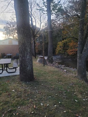 a park with a picnic table and trees at Economy Inn Sylva in Sylva
