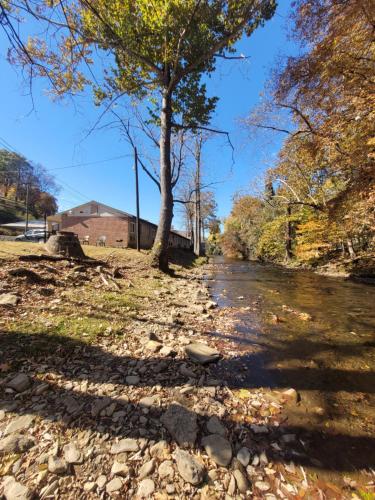 a tree on the side of a river at Economy Inn Sylva in Sylva