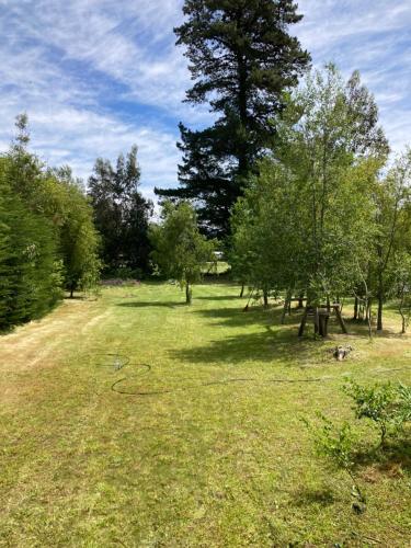 a field with a dog laying in the grass at Cabaña En Lago colbun, sector Pasó Nevado in Talca