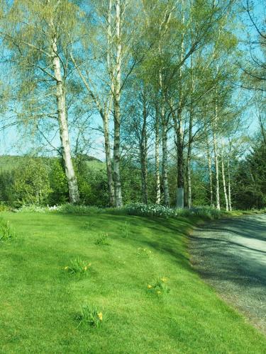 a grassy field with trees in the background at The Garden Room at Te Anau Country Accommodation in Te Anau