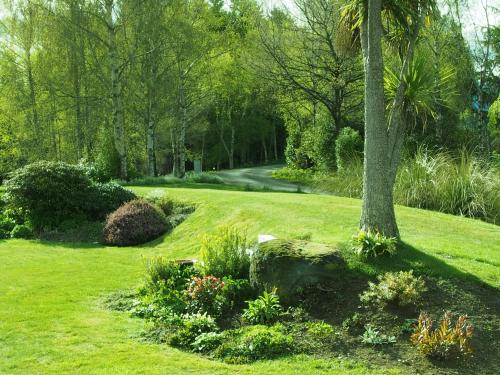 a garden with a palm tree and some flowers at The Garden Room at Te Anau Country Accommodation in Te Anau