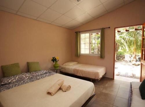 1 dormitorio con 2 camas y ventana en Gaia Lodge, en Boquete