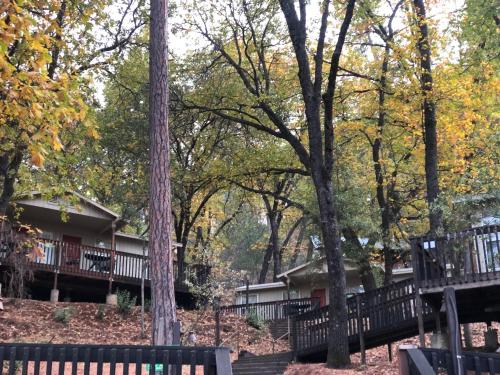 a house in the woods with trees at Yosemite Bug Rustic Mountain Resort in Midpines