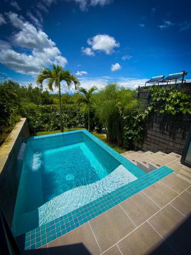 a swimming pool in a yard with palm trees at Ecoparadise Hotel in Pereira