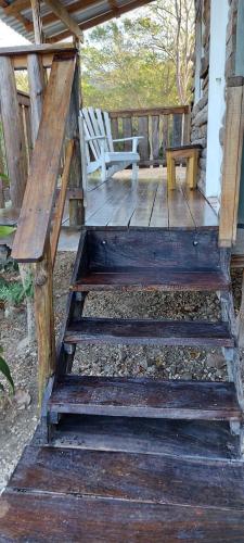 Blue Parrot Cabinas – Photos 2