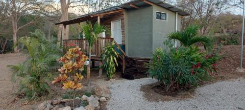 Blue Parrot Cabinas – Photos 3