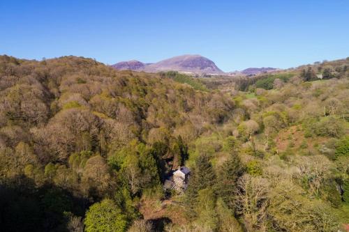 an aerial view of a forest of trees at Luxurious Riverside Cottage in Snowdonia National Park in Tanygrisiau