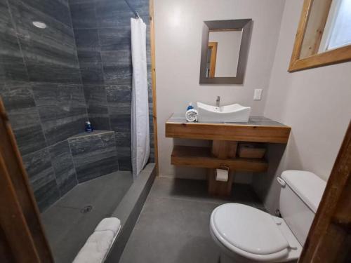 a bathroom with a toilet and a sink and a shower at The Odyssey Resort Utila in Utila