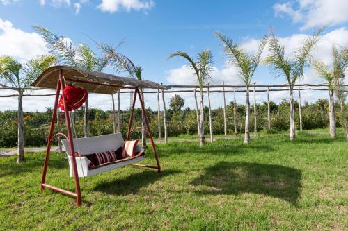 a swing in a field with palm trees at Dar Ghita en campagne in O Ben Slimane