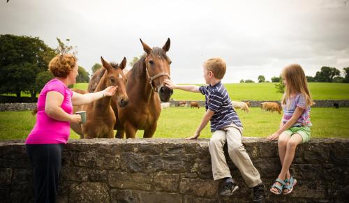 a boy and two girls looking at horses on a wall at Cahergal Farmhouse B&B in Newmarket on Fergus