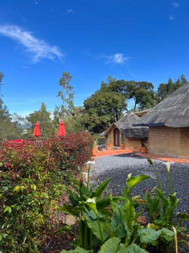 a house with red umbrellas in a garden at MALOKAS AGUA VIDA & NATURALEZA in Villa de Leyva
