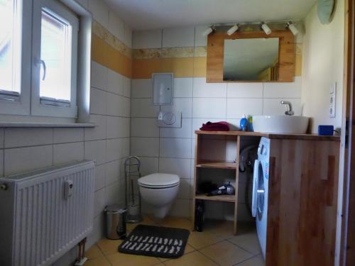 uma casa de banho com um lavatório e um WC. em FeWo Dorn OG Haus Sandsteinliebe em Sebnitz