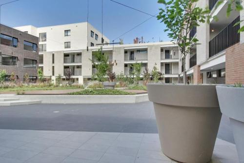 a large planter with a tree in front of a building at The Prince 228 Kingston ACT in Canberra