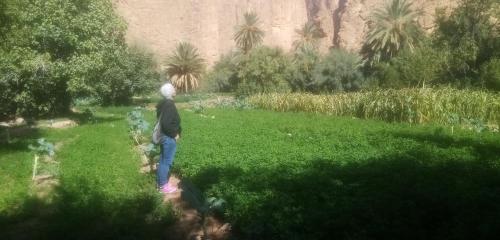 a person standing in the grass in a garden at Maison d'Hôte Valentine in Tinerhir