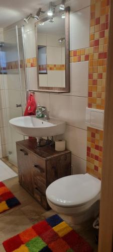 a bathroom with a toilet and a sink at Ferienzimmer im schönen Erzgebirge in Neuhausen