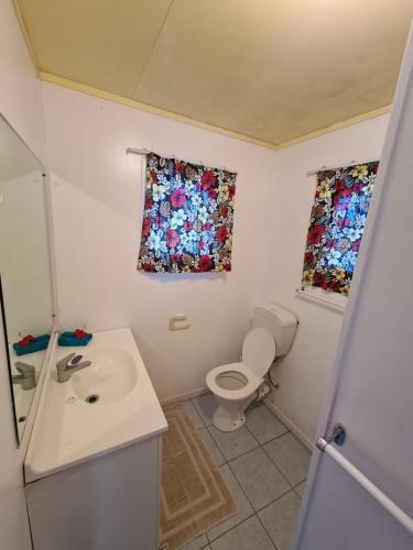AmuriにあるSunny Beach Bungalows - Aitutakiのバスルーム(トイレ、洗面台付)、窓が備わります。