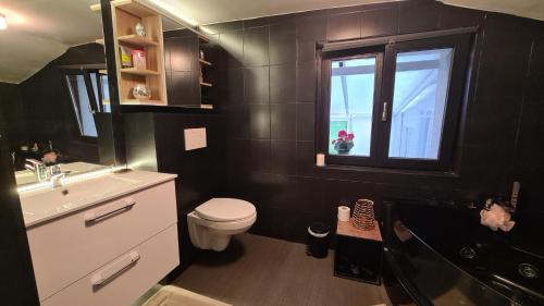uma casa de banho com um WC, um lavatório e uma janela em la perle blanche em Spa