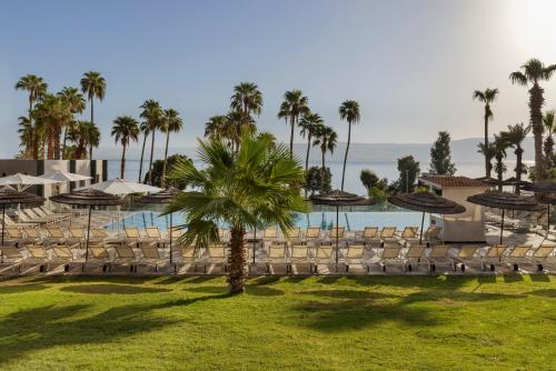 a resort with a pool and chairs and palm trees at Hotel Lake House Kinneret in Tiberias