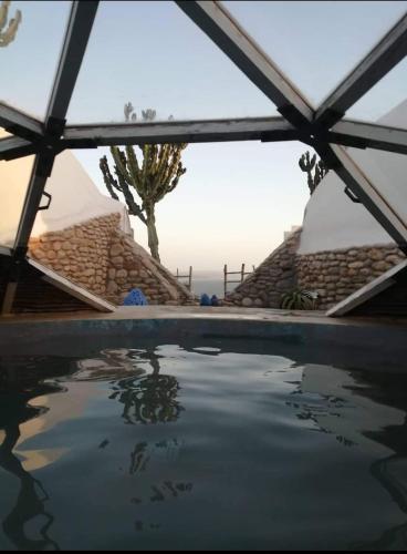 a view of a swimming pool from a building with a tree at DAV MAHAL Eco lodge in Sidi Kaouki