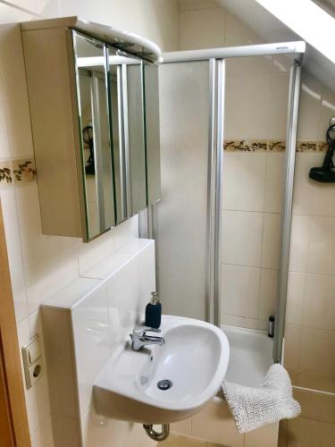a bathroom with a sink and a shower at Ferienwohnung Eckloff in Lutherstadt Wittenberg