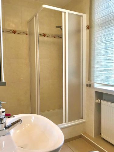 a bathroom with a shower and a white sink at Ferienwohnung Eckloff in Lutherstadt Wittenberg
