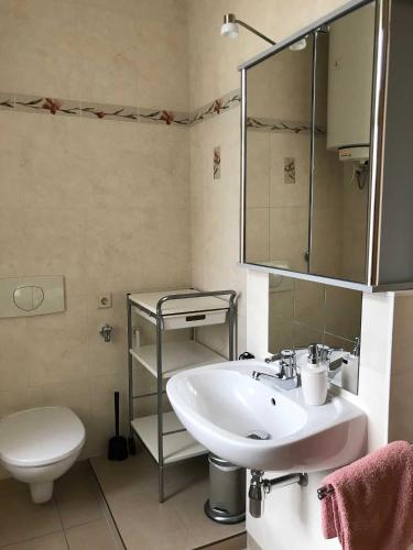 a bathroom with a sink and a toilet and a mirror at Ferienwohnung Eckloff in Lutherstadt Wittenberg