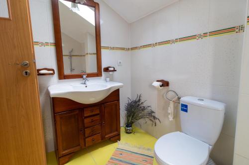 a bathroom with a sink and a toilet and a mirror at Vila cu Mesteceni in Campina
