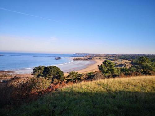 a view of a beach with trees and the ocean at Mer et calme in Frehel