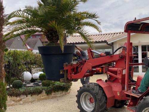 a man on a tractor next to a palm tree at Wilsmann Apartmentvermietung in Hövelhof
