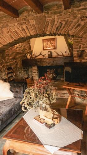 a living room with a table with a plant on it at Mas D'en Roqueta in Aravell