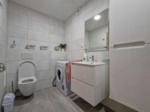 ein Badezimmer mit einem WC, einem Waschbecken und einer Waschmaschine in der Unterkunft Apartmán U řeky in Česká Ves