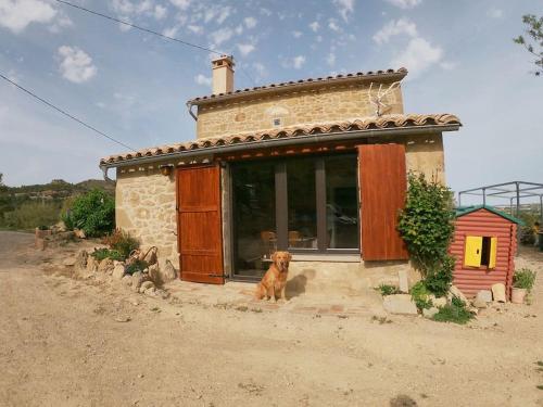 a dog sitting in front of a small house at Cal Sastre in Olíus