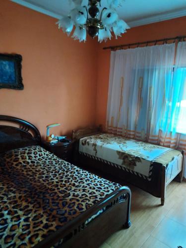 Beautiful 2 room apartment 5 Minutes from Center of Shkodra - Image 4