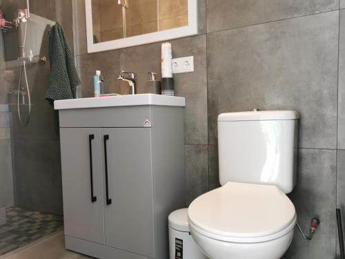 a bathroom with a white toilet and a sink at ''Ābeļdārza māja'' 