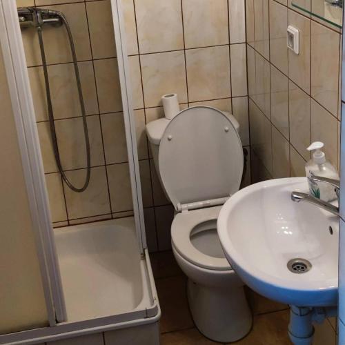 La salle de bains est pourvue de toilettes, d'un lavabo et d'une douche. dans l'établissement Hotelik Kościerzyna, à Kościerzyna