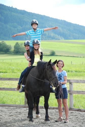 a group of children are sitting on a horse at Bio-Bauernhof Samerhof in Mariapfarr