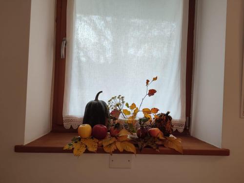a window with a pumpkin and autumn leaves on a window sill at Storie di bosco in Villa Lagarina