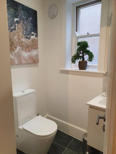 a bathroom with a toilet and a window and a plant at One Bedroom Flat Central Ipswich in Ipswich