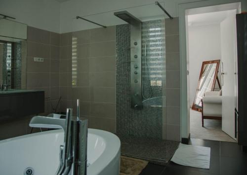 une salle de bain avec une baignoire, un lavabo et une douche dans l'établissement Chateau la Tilleraie, à Bergerac