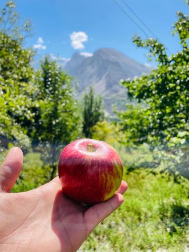 a hand holding an apple in front of a mountain at Karakorum View Hotel Karimabad Hunza in Hunza