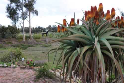 Taman di luar The Riverstone - Romantic Hideaway by the River - loadshedding free!