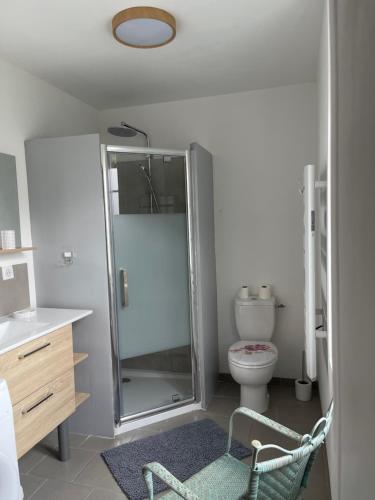 ein Bad mit einer Dusche und einem WC in der Unterkunft Confortable duplex au cœur de la campagne Picarde à 1h de Paris in Biermont