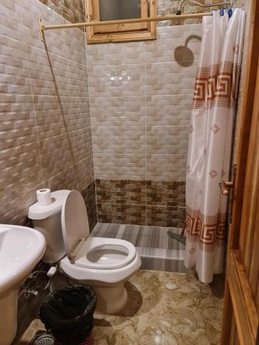 een badkamer met een toilet en een wastafel bij Qasr El salam in Siwa